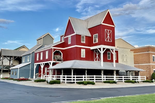 Horses performing in a dinner show arena