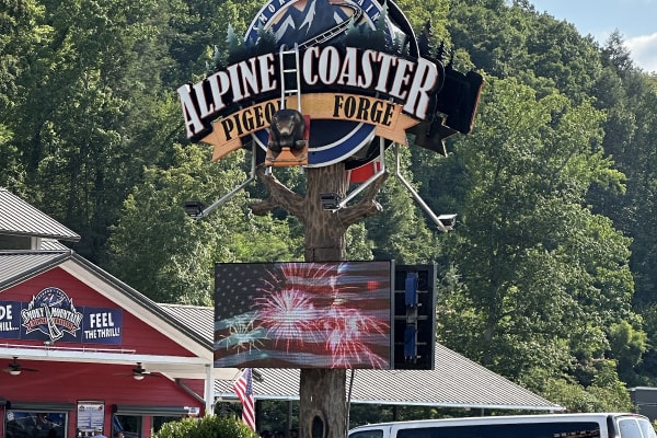 Alpine coaster winding through mountain forest