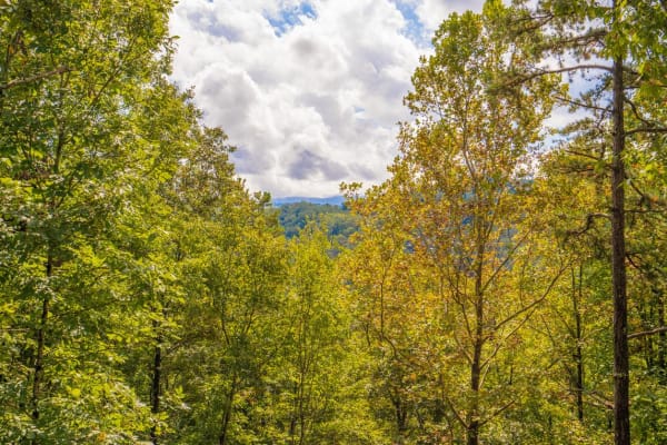 Pigeon Forge Escape