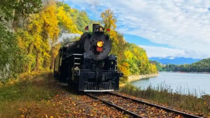 The Dollywood Express steam train traveling through the park.