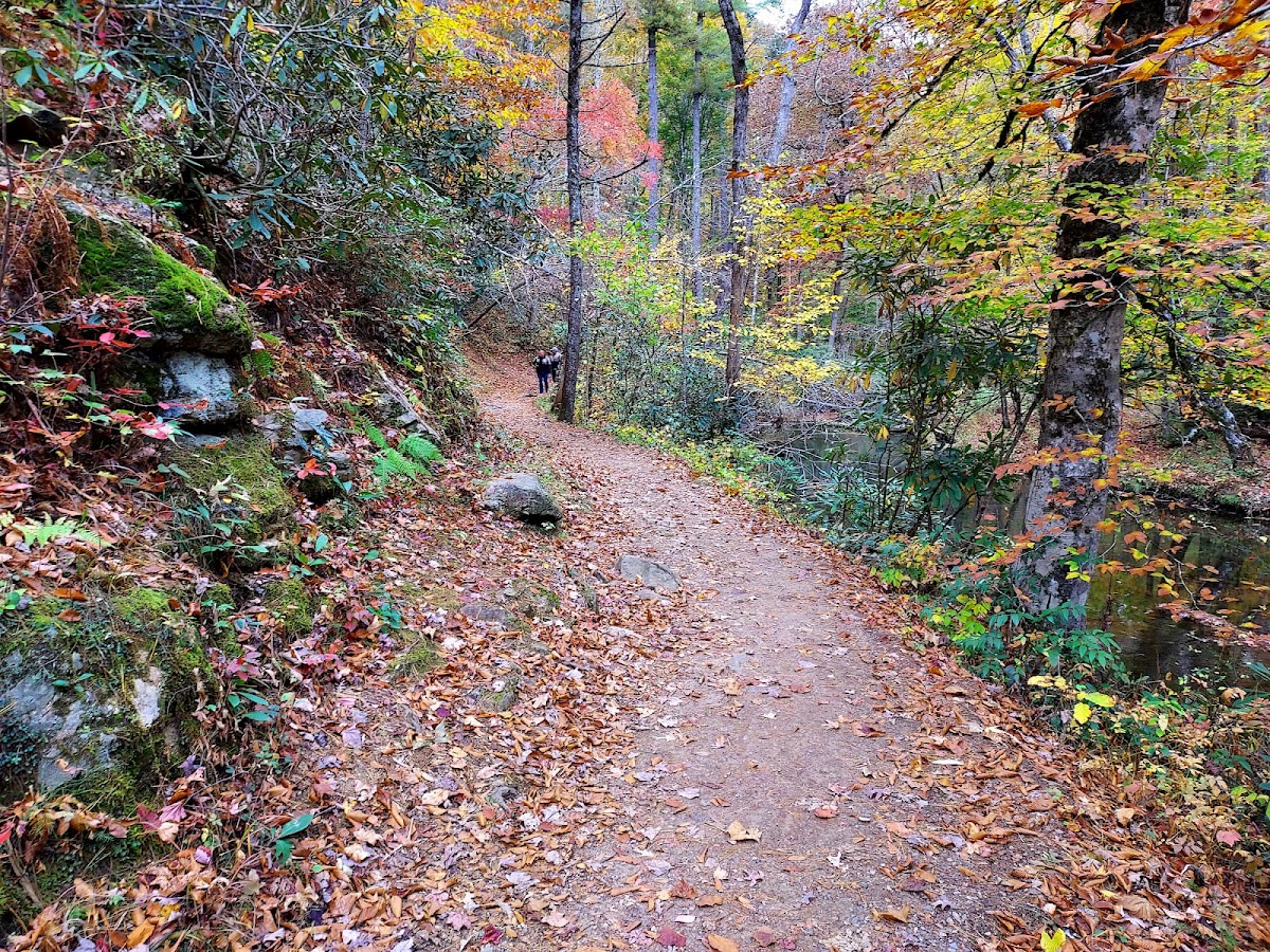Abrams Falls - Cades Cove