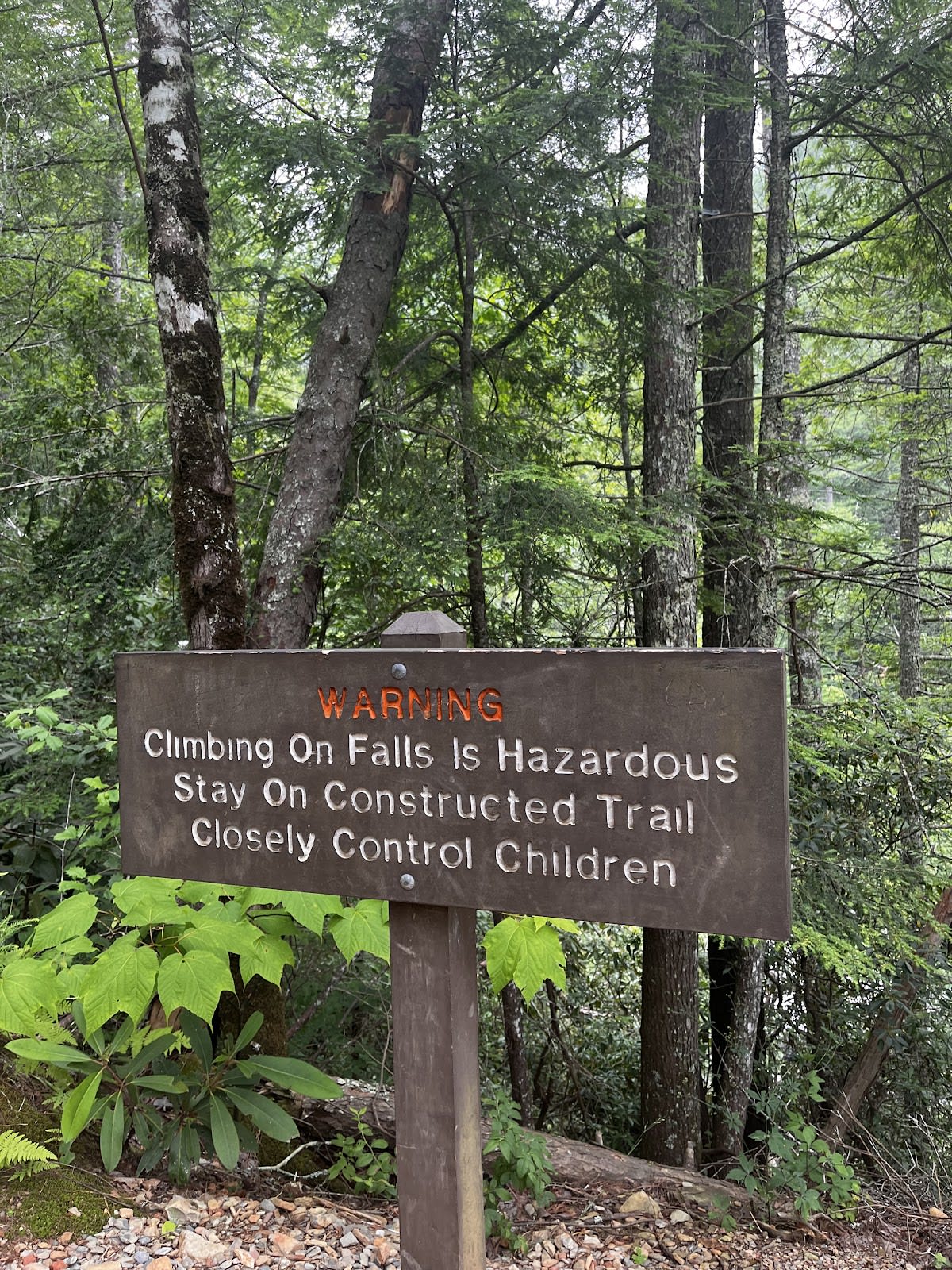 Abrams Falls Trail