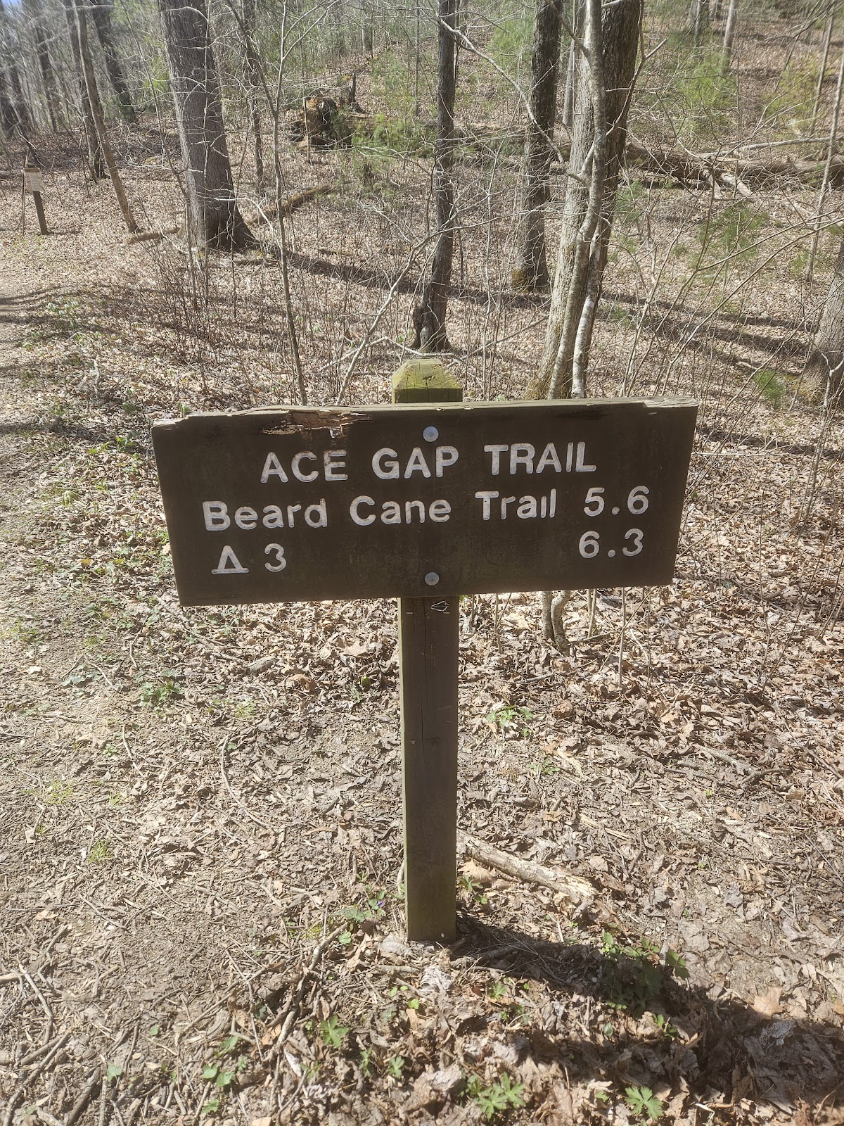 Ace Gap Trail
