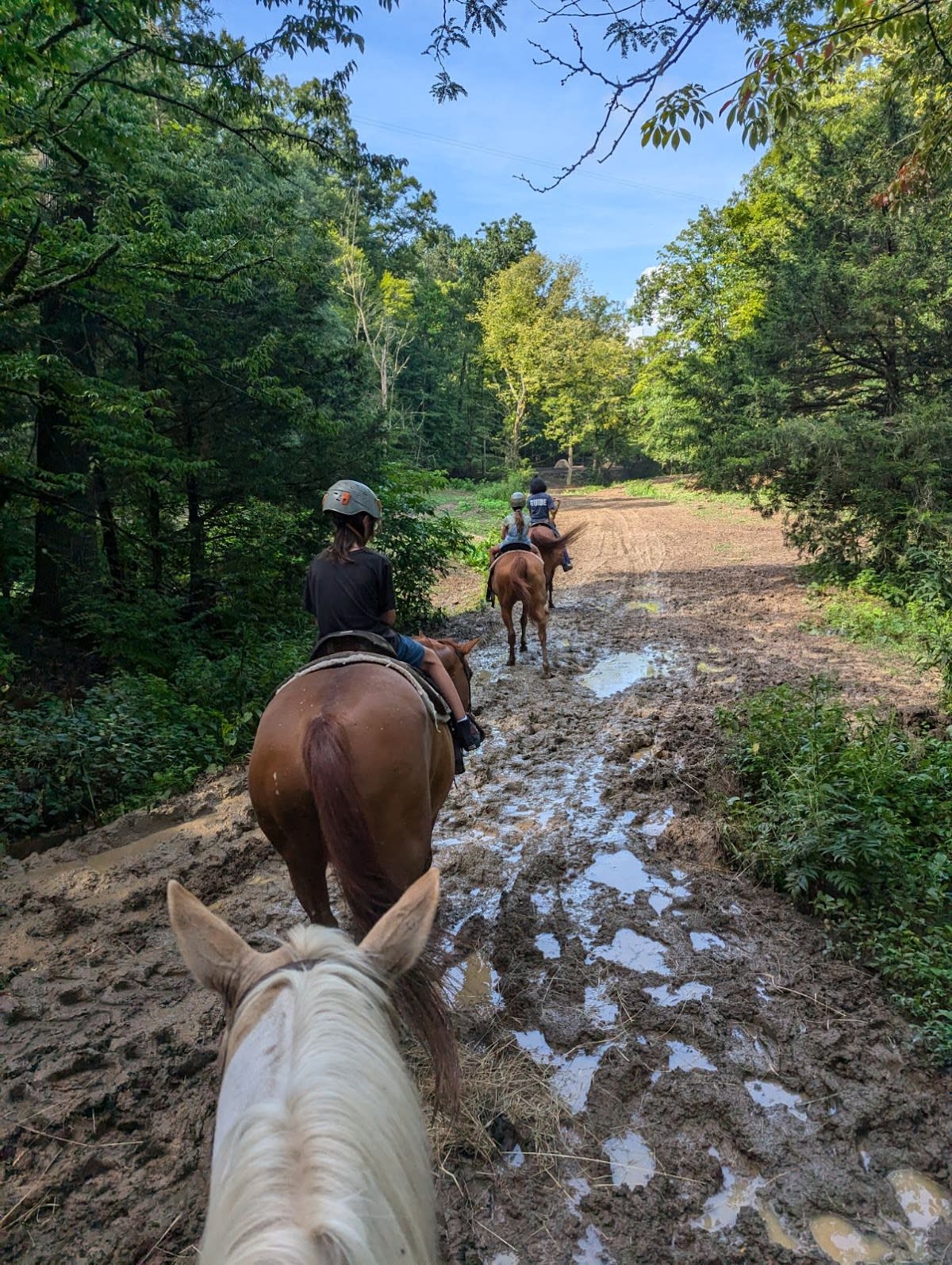 Adventure Park Zipline Tour
