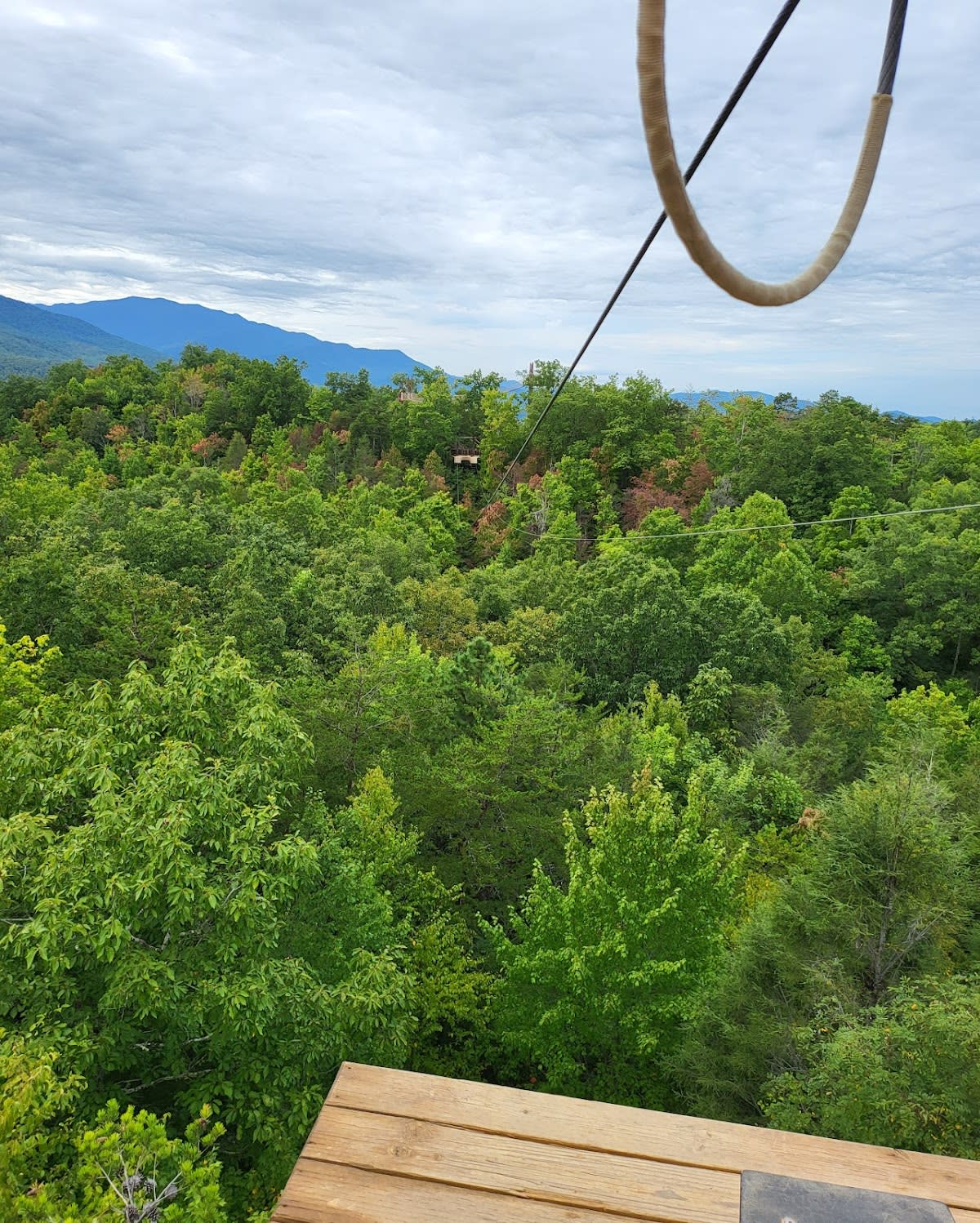Adventure Park Zipline Tour