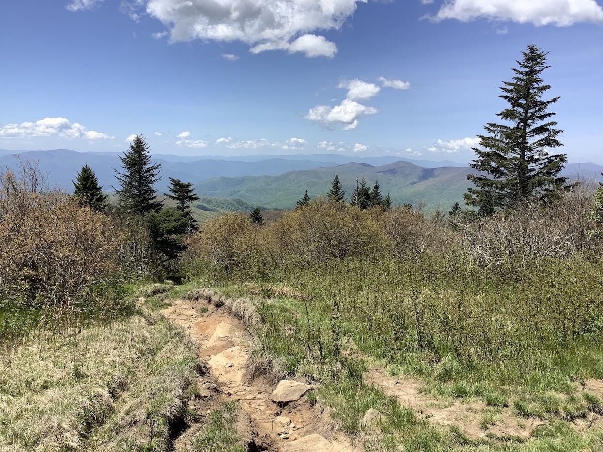 Andrews Bald Trail