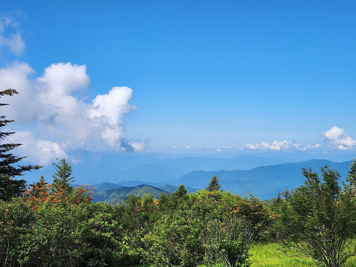 Andrews Bald Trail