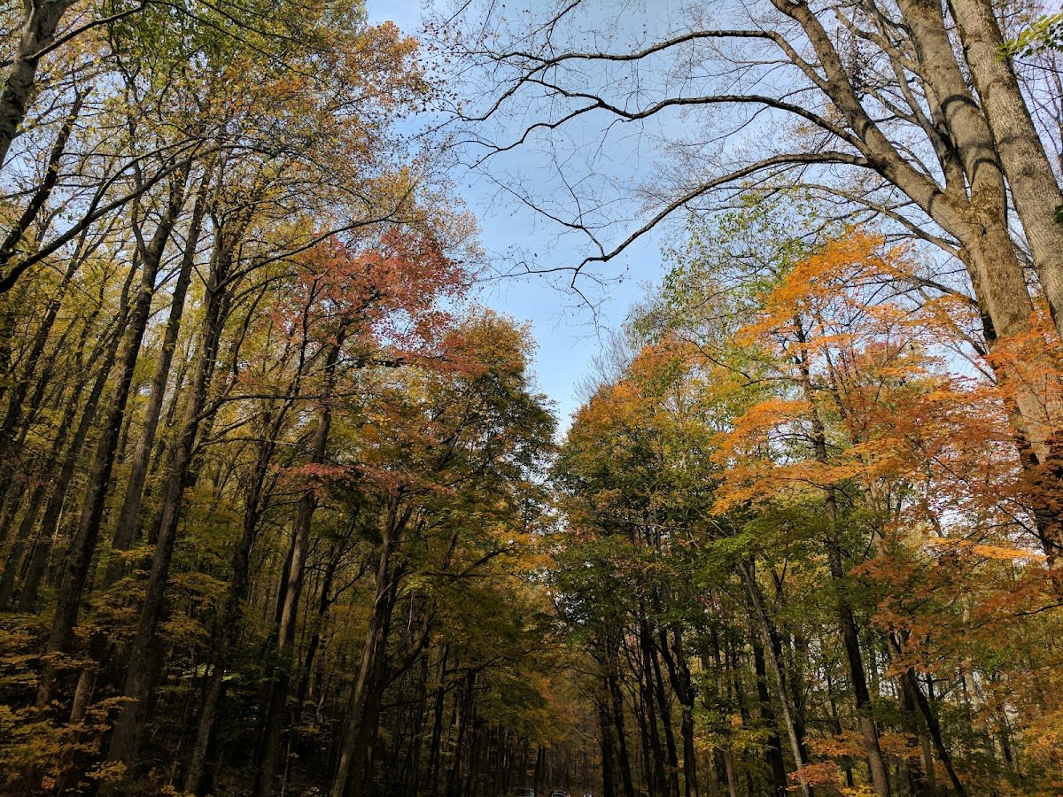 Balsam Point Quiet Walkway