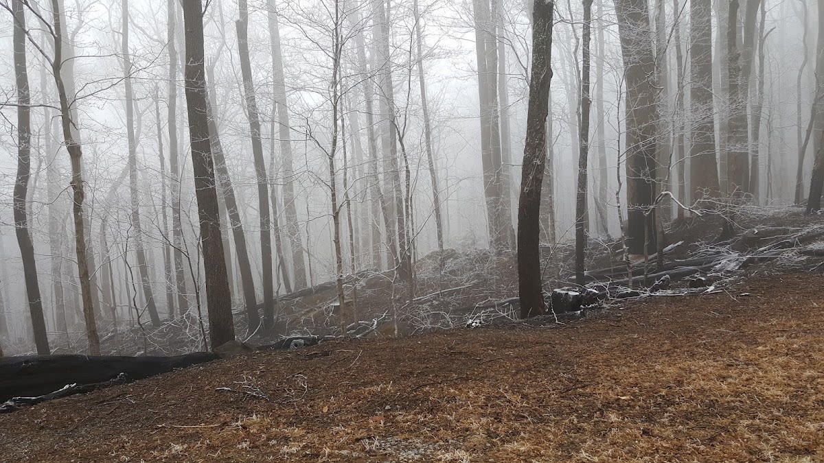 Balsam Point Quiet Walkway