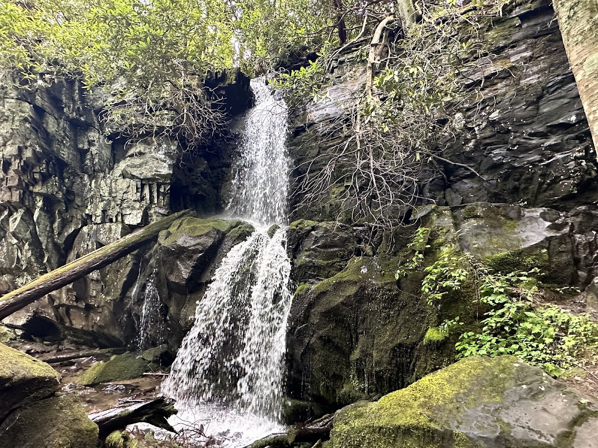 Baskins Creek Falls