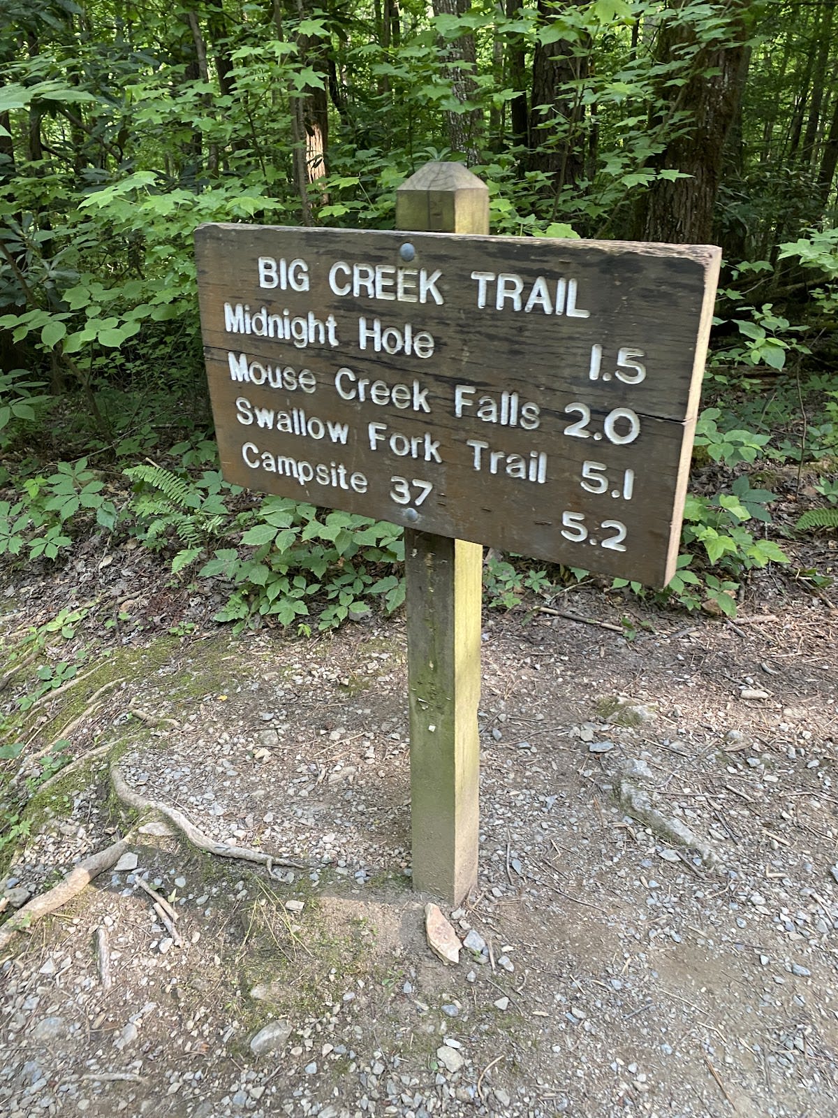 Baxter Creek Trail