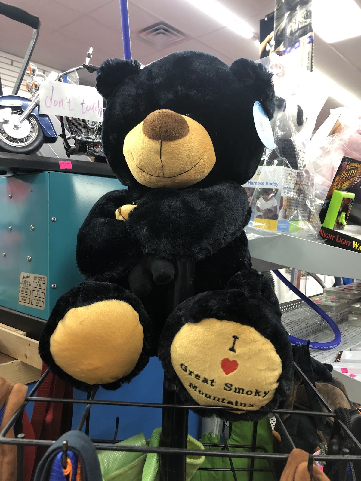 Bear Head Shirts, Gifts & More