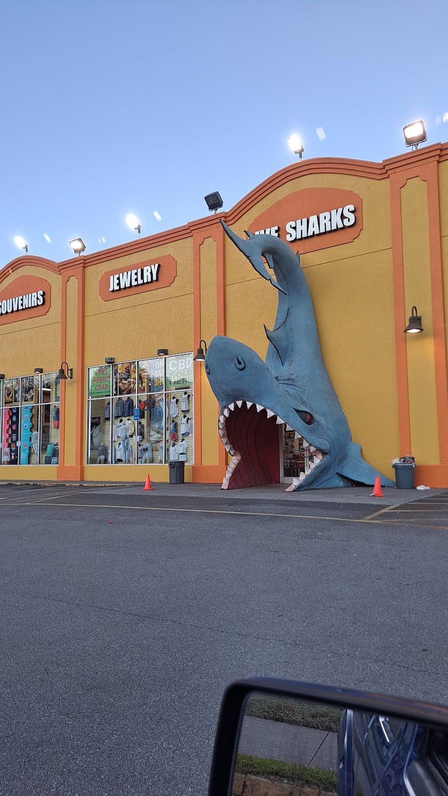 Bear Head Shirts, Gifts & More