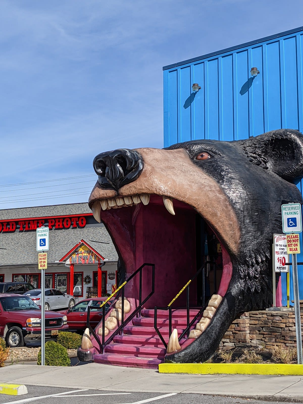 Bear Head Shirts, Gifts & More