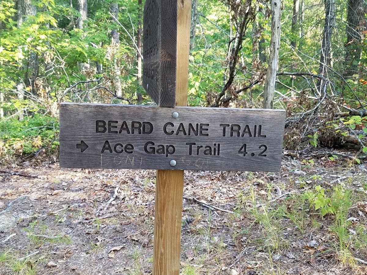 Beard Cane Trail