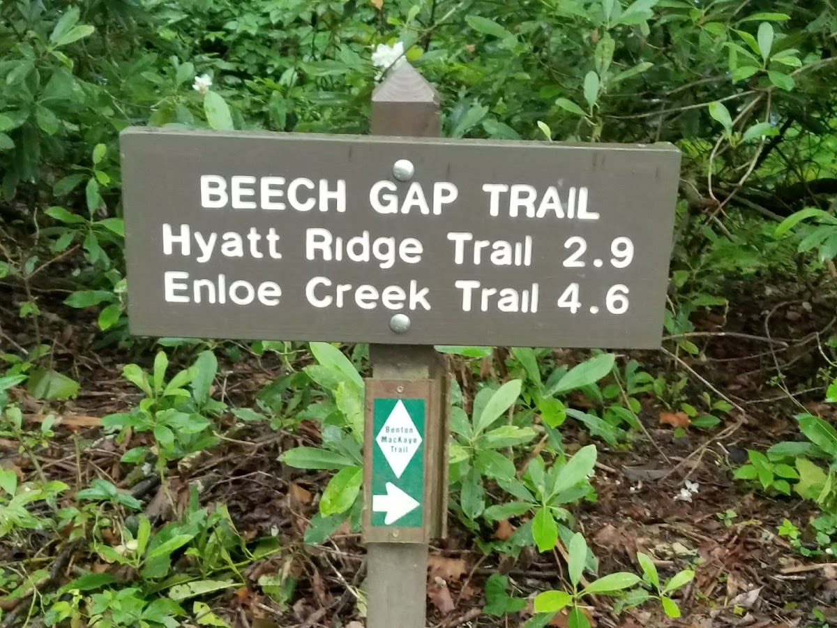 Beech Gap Trail
