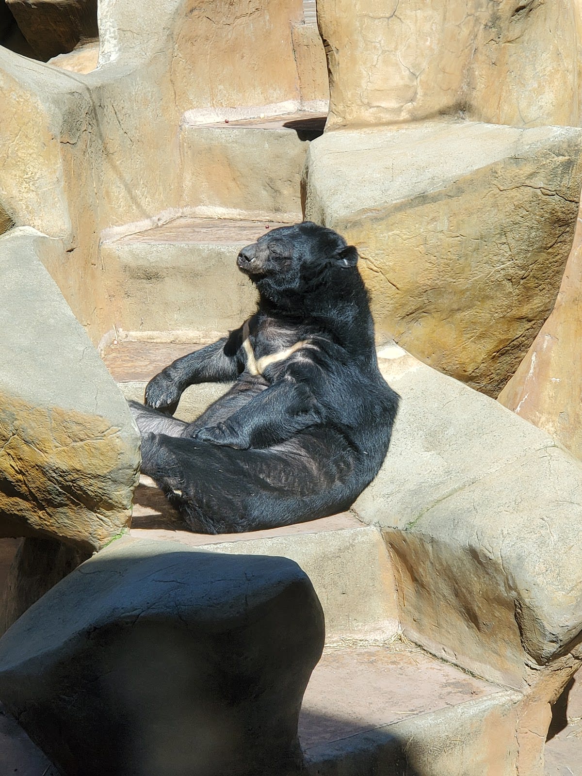 Bigfoot's Country Barn Selfie Park