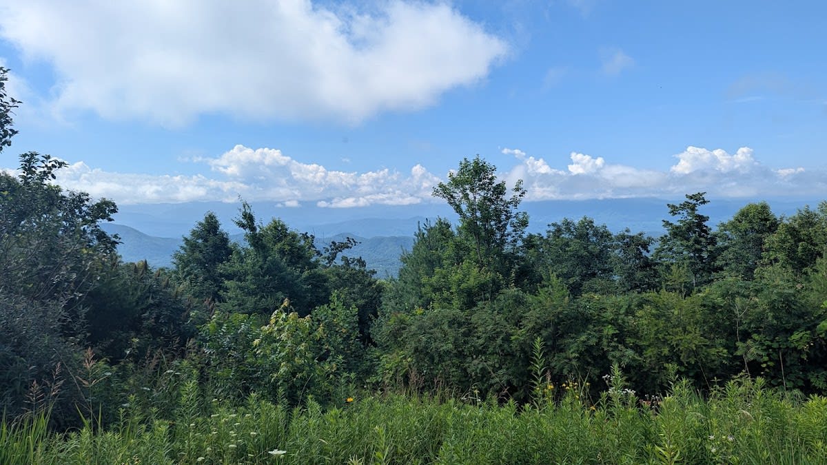 Blackberry Mountain Firetower Restaurant