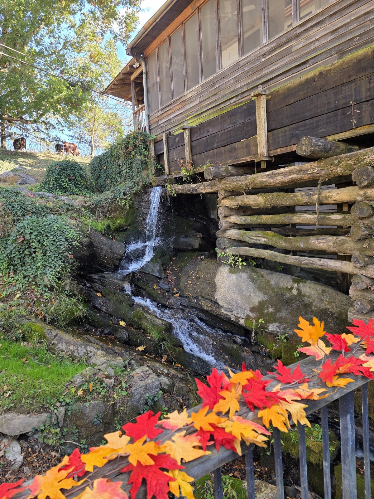 Blowing Cave Mill General Store