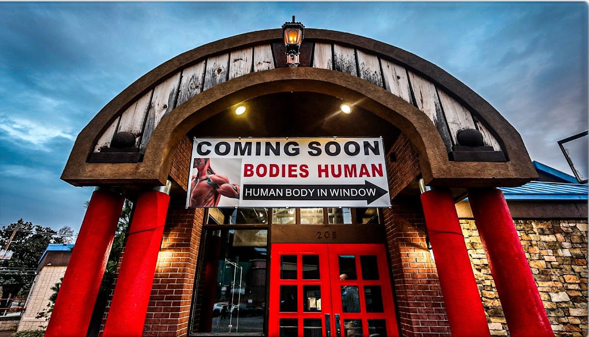 Bodies Human Museum