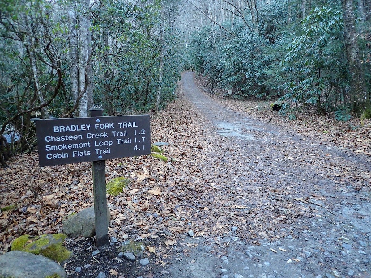 Bradley Fork Trail