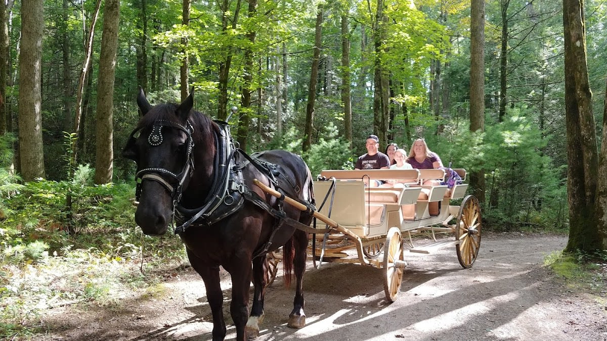 Cades Cove Carriage Rides
