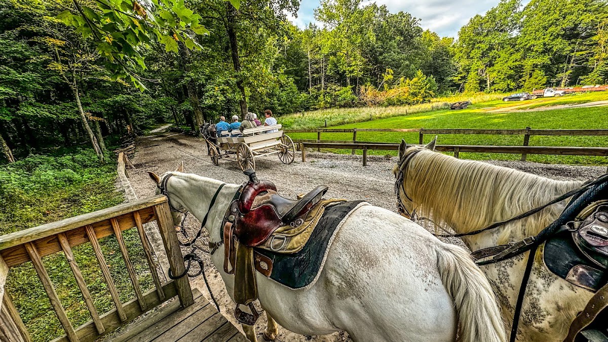 Cades Cove Carriage Rides