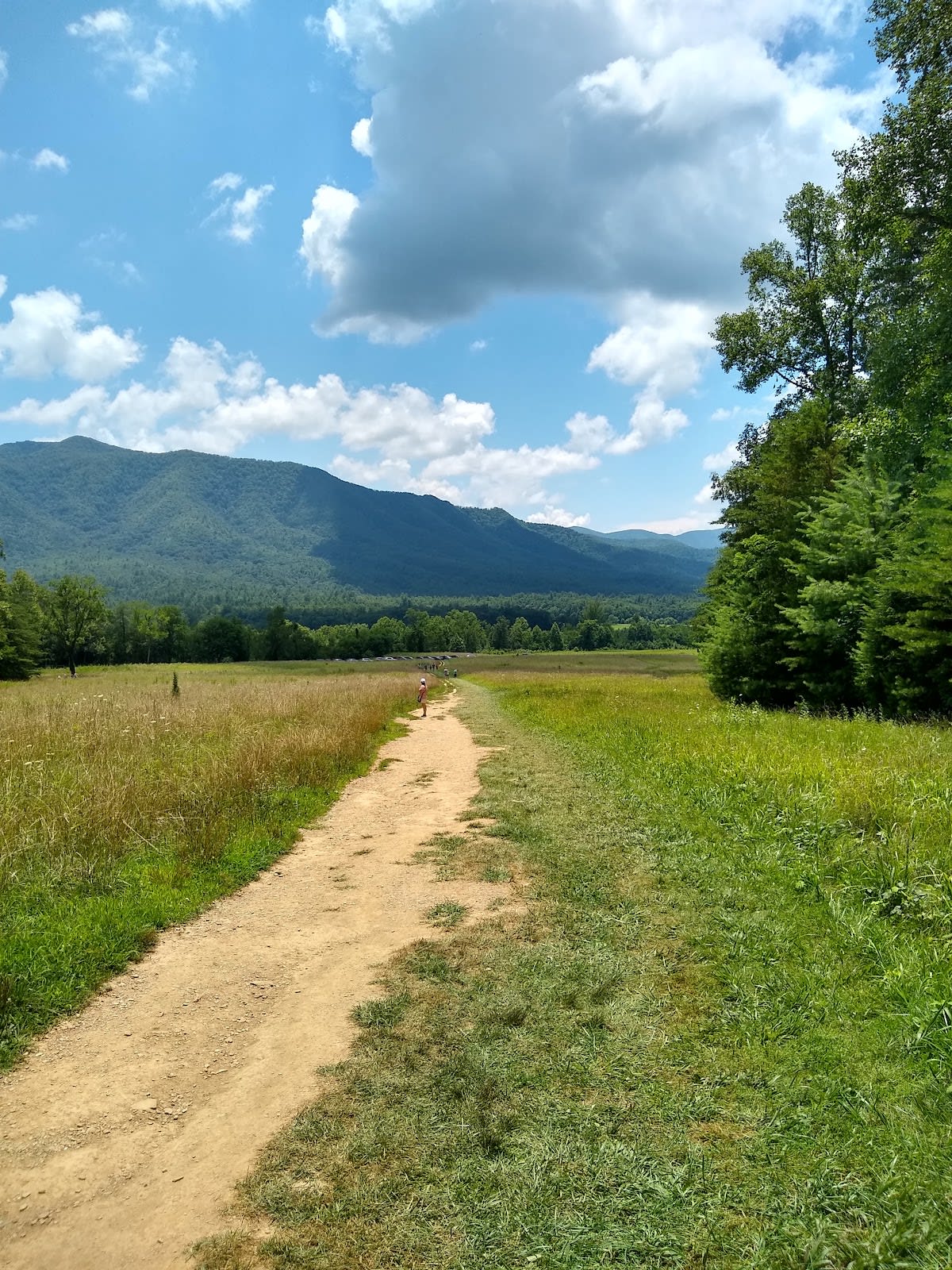 Cades Cove Loop Road