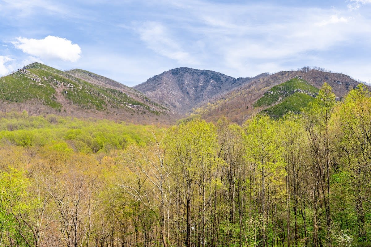 Carlos C. Campbell Overlook