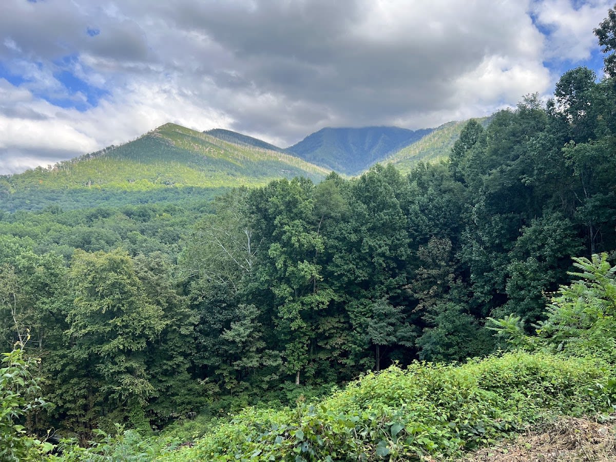 Carlos C. Campbell Overlook