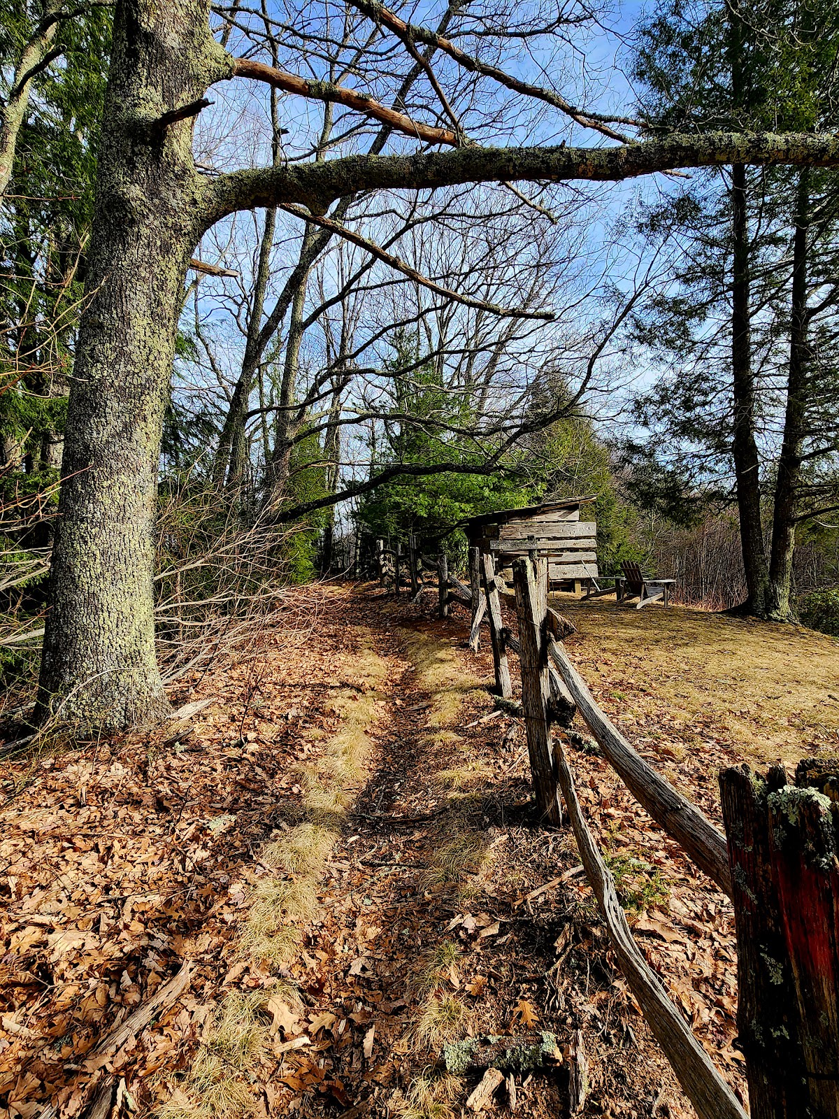 Cataloochee Divide Trail