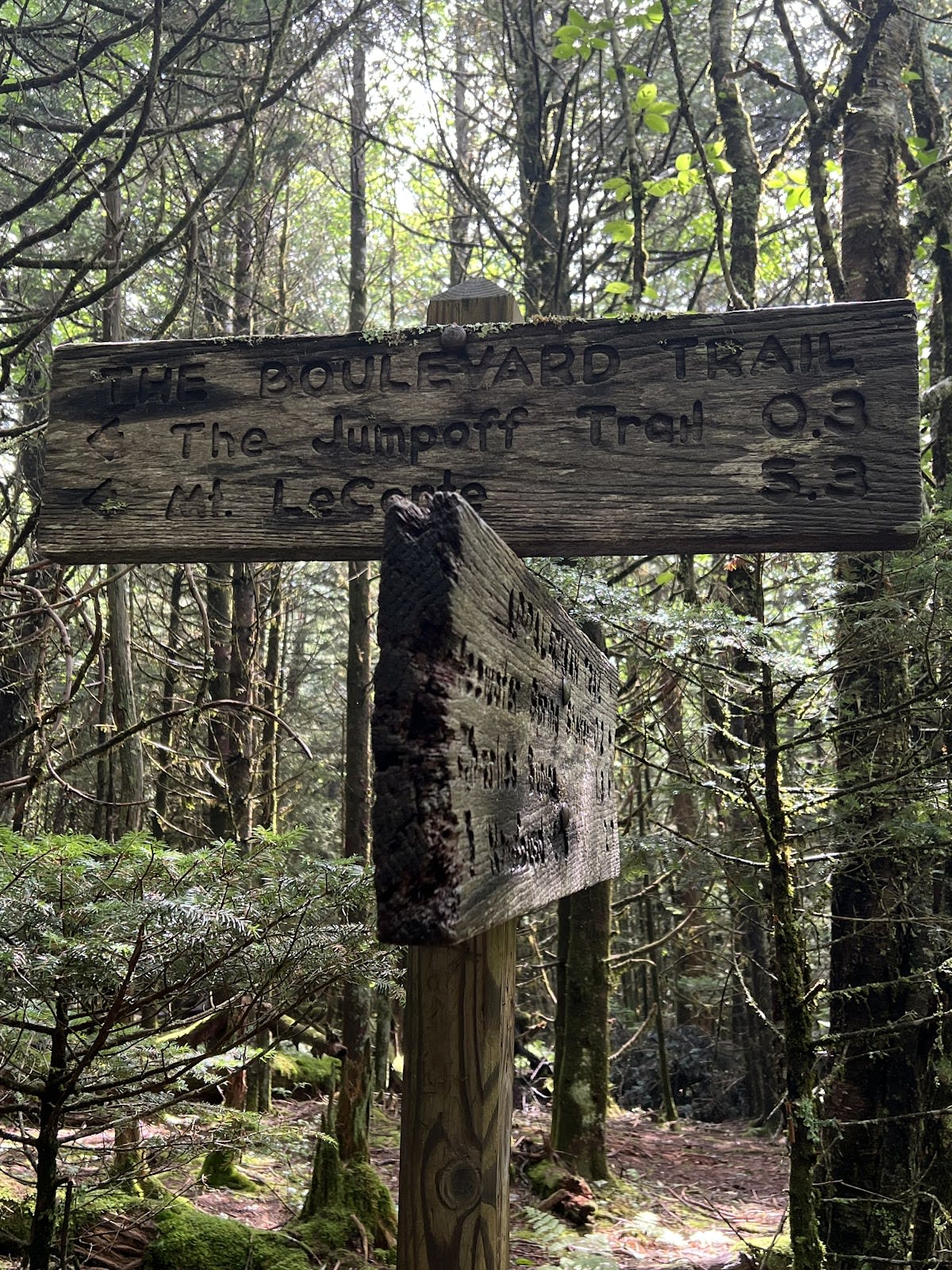 Charlies Bunion via Appalachian Trail