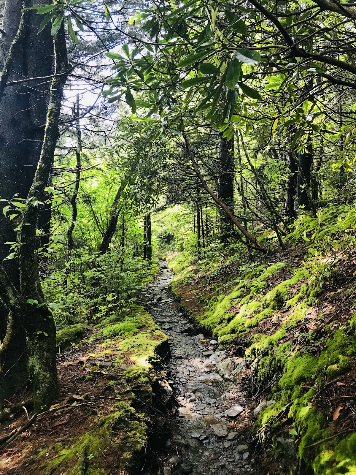 Charlies Bunion via Appalachian Trail