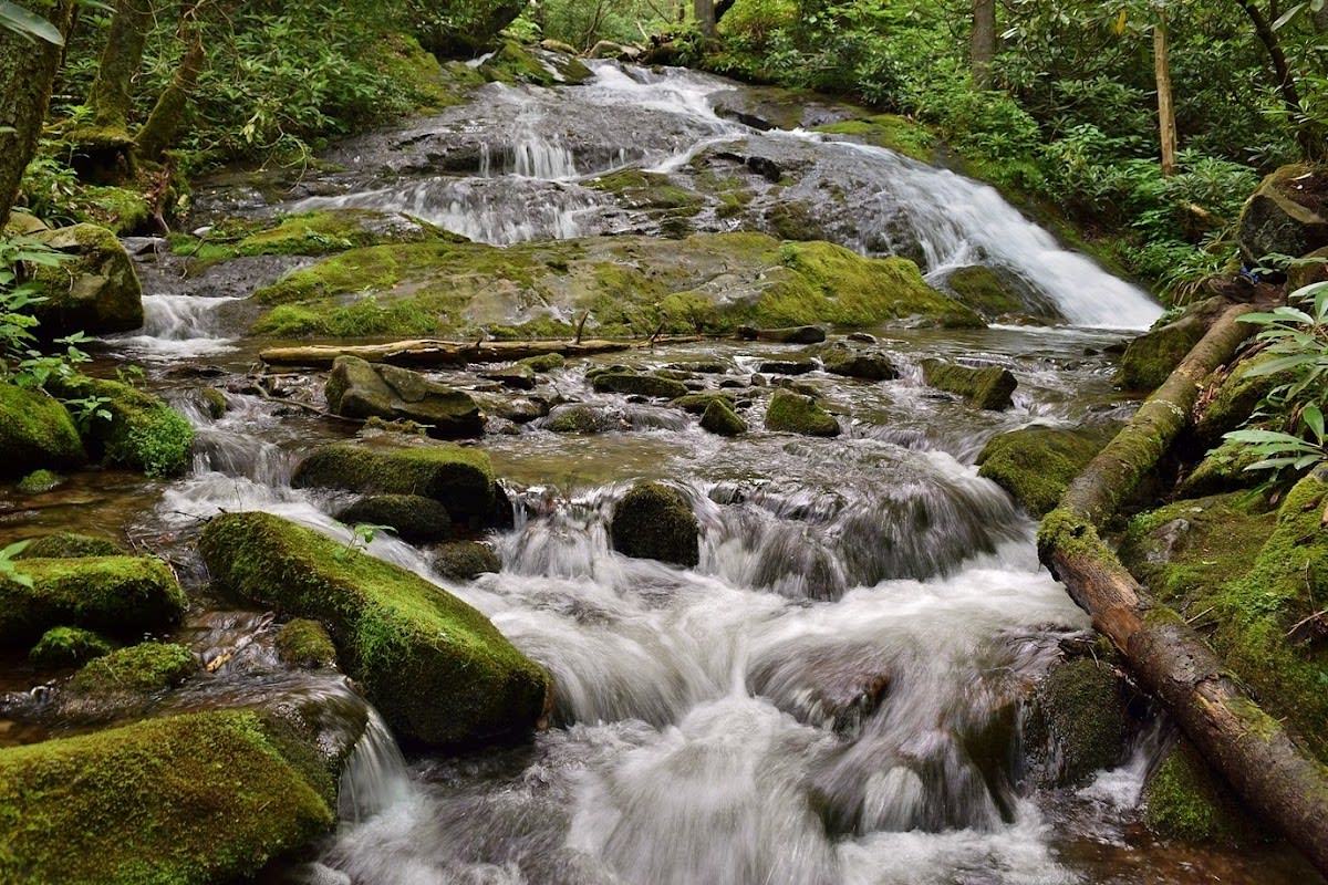 Chasteen Creek Cascade Trail