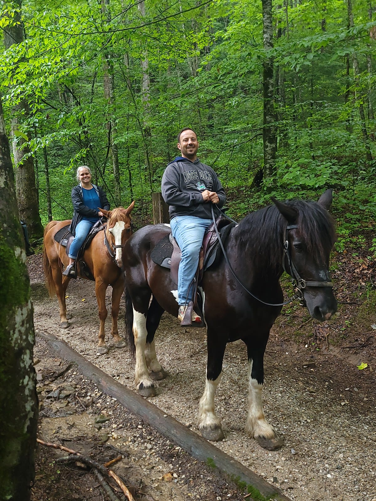 Chasteen Creek Cascade Trail