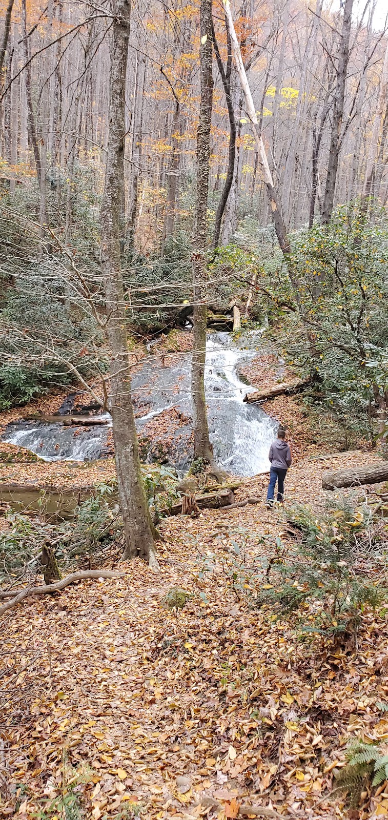 Chasteen Creek Cascade Trail