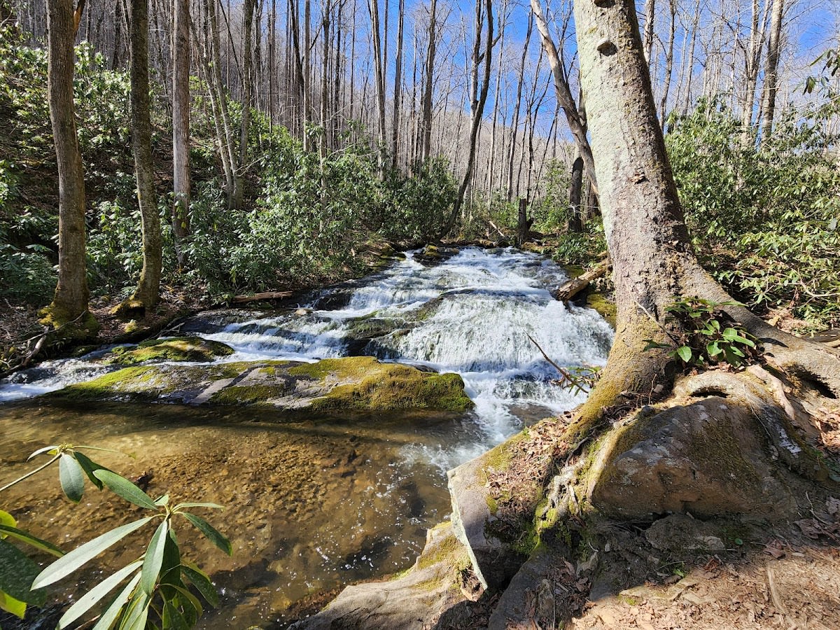 Chasteen Creek Cascade Trail