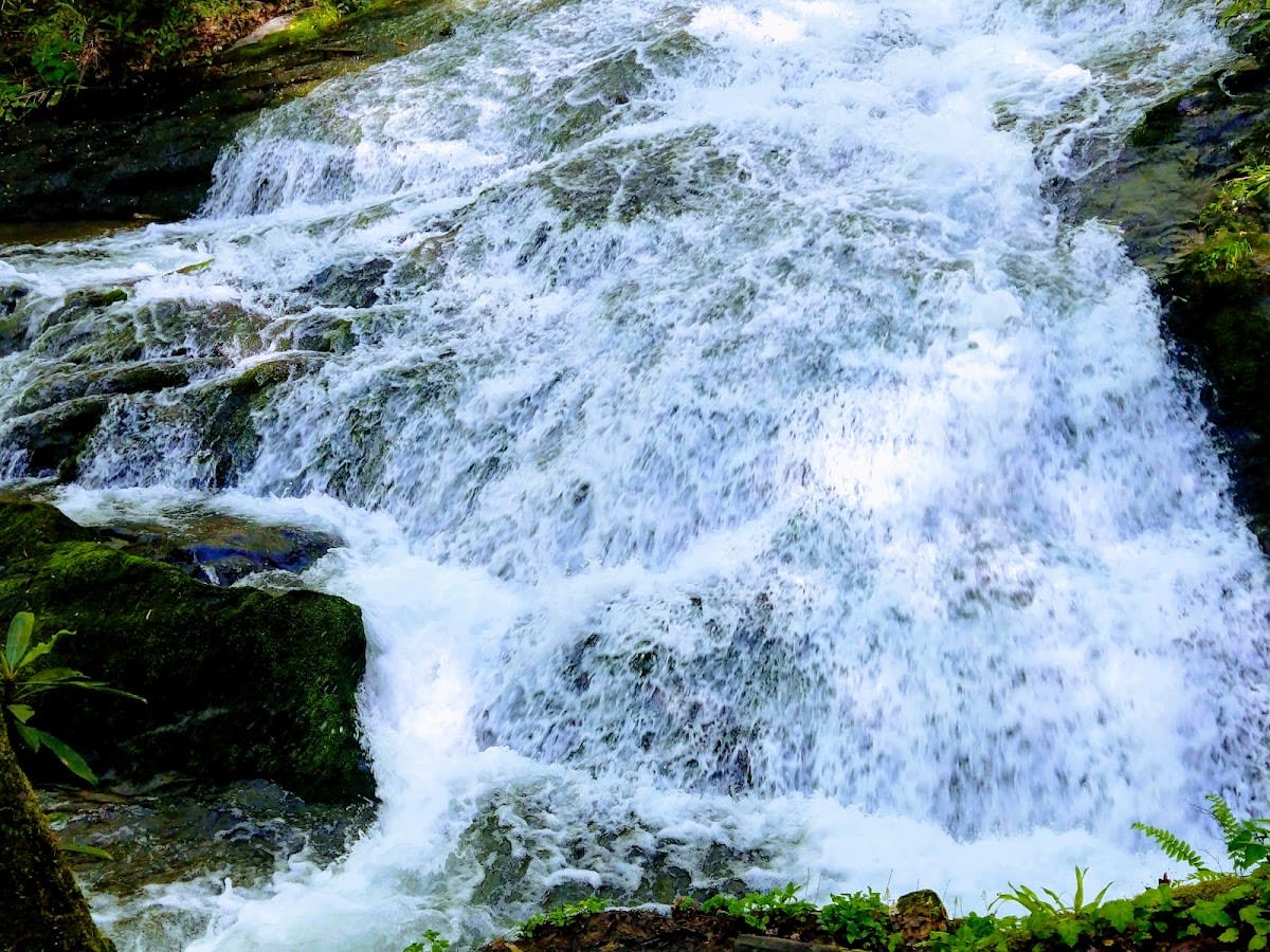Chasteen Creek Cascade Trail