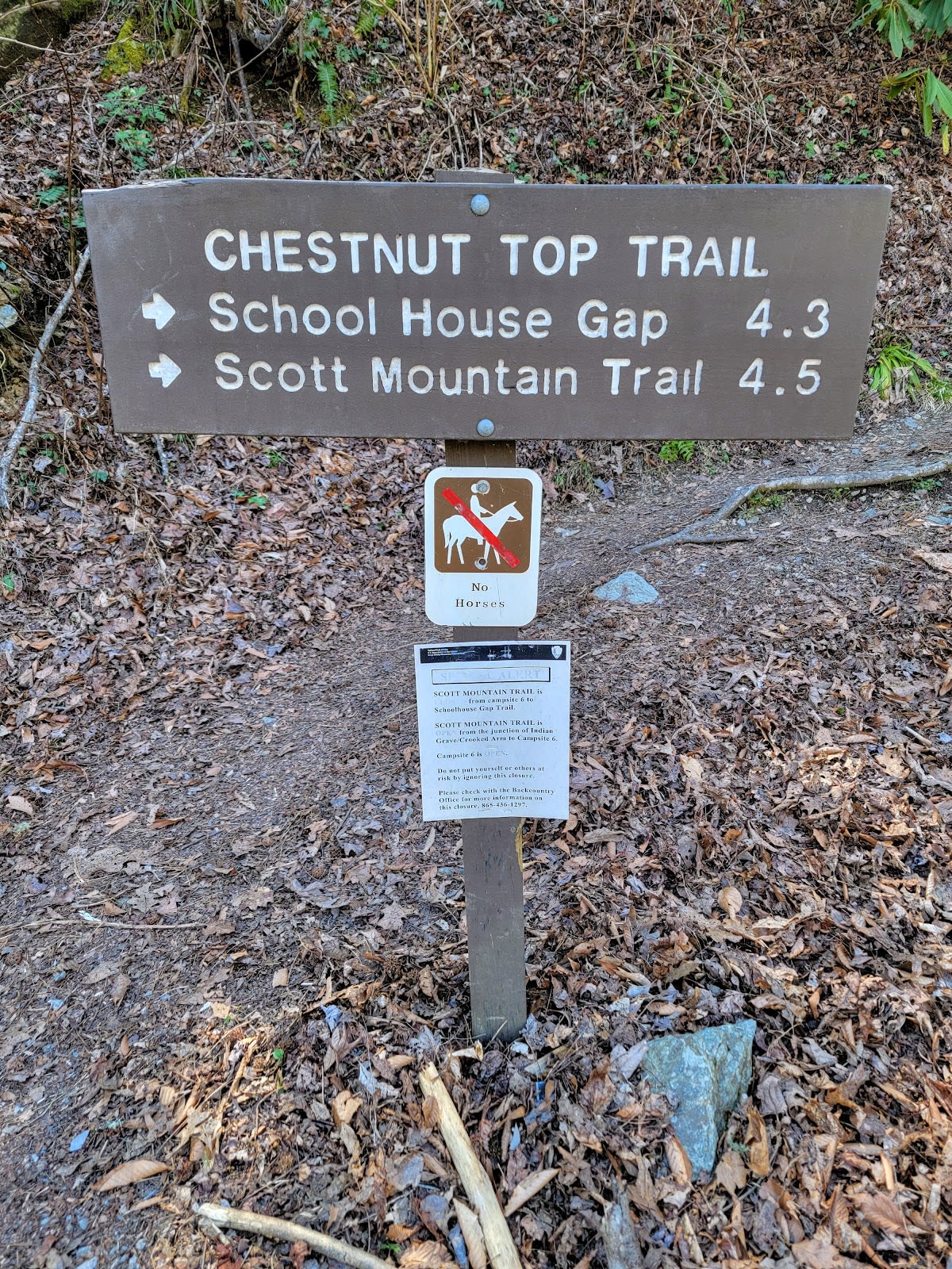 Chestnut Top Trail