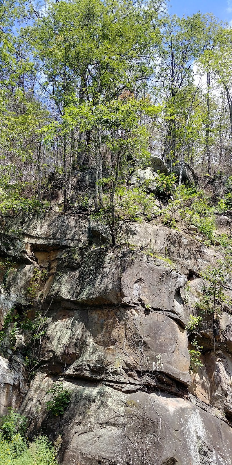 Chimney Tops Overlook
