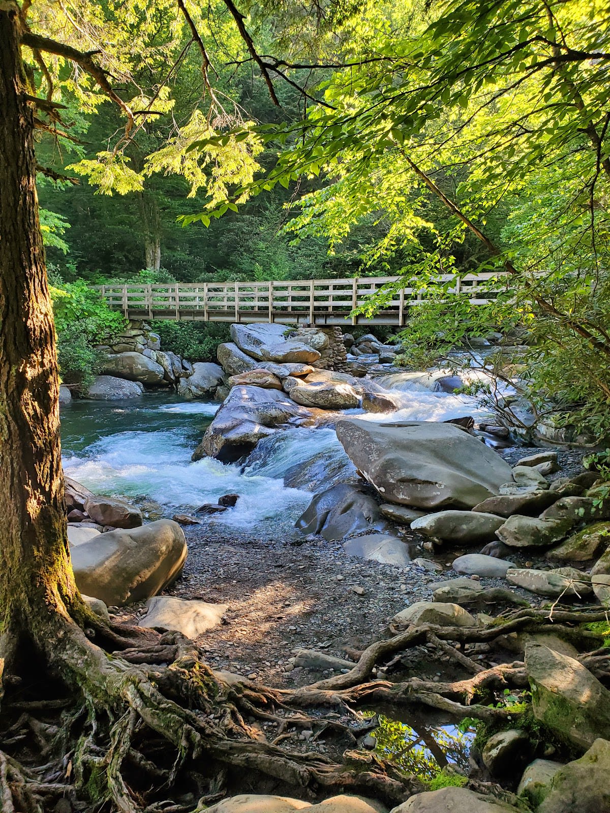Chimney Tops Overlook