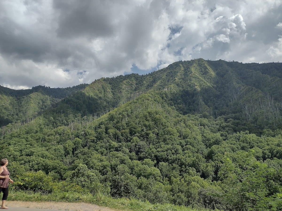 Chimney Tops Overlook