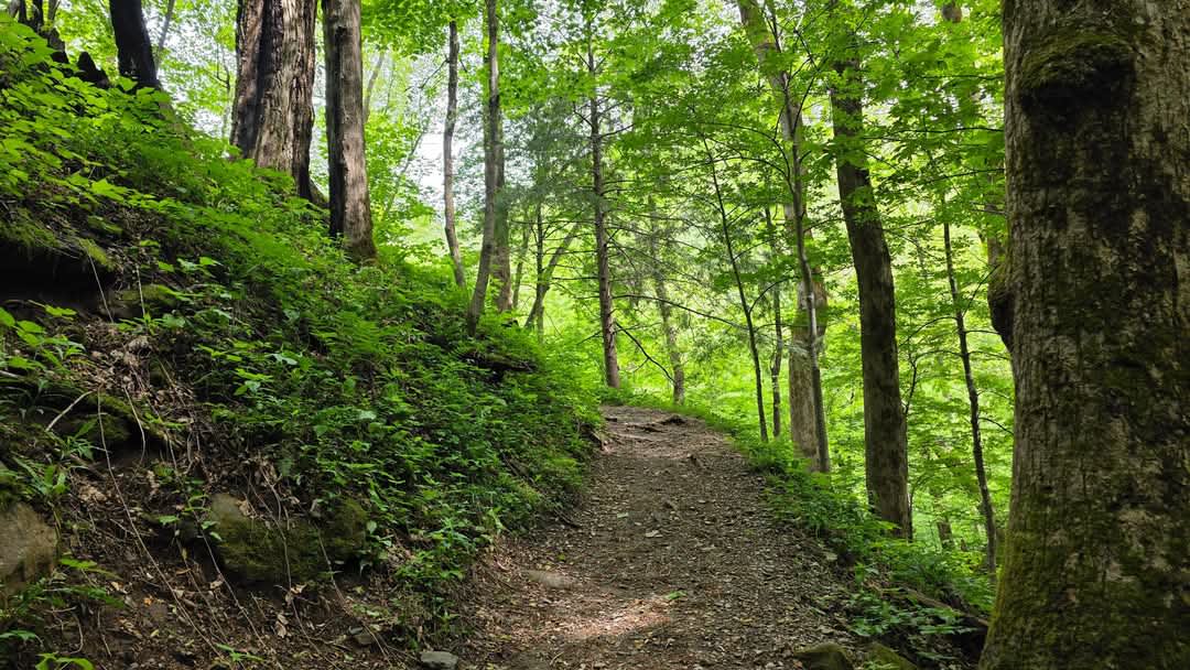 Chimneys Picnic Area