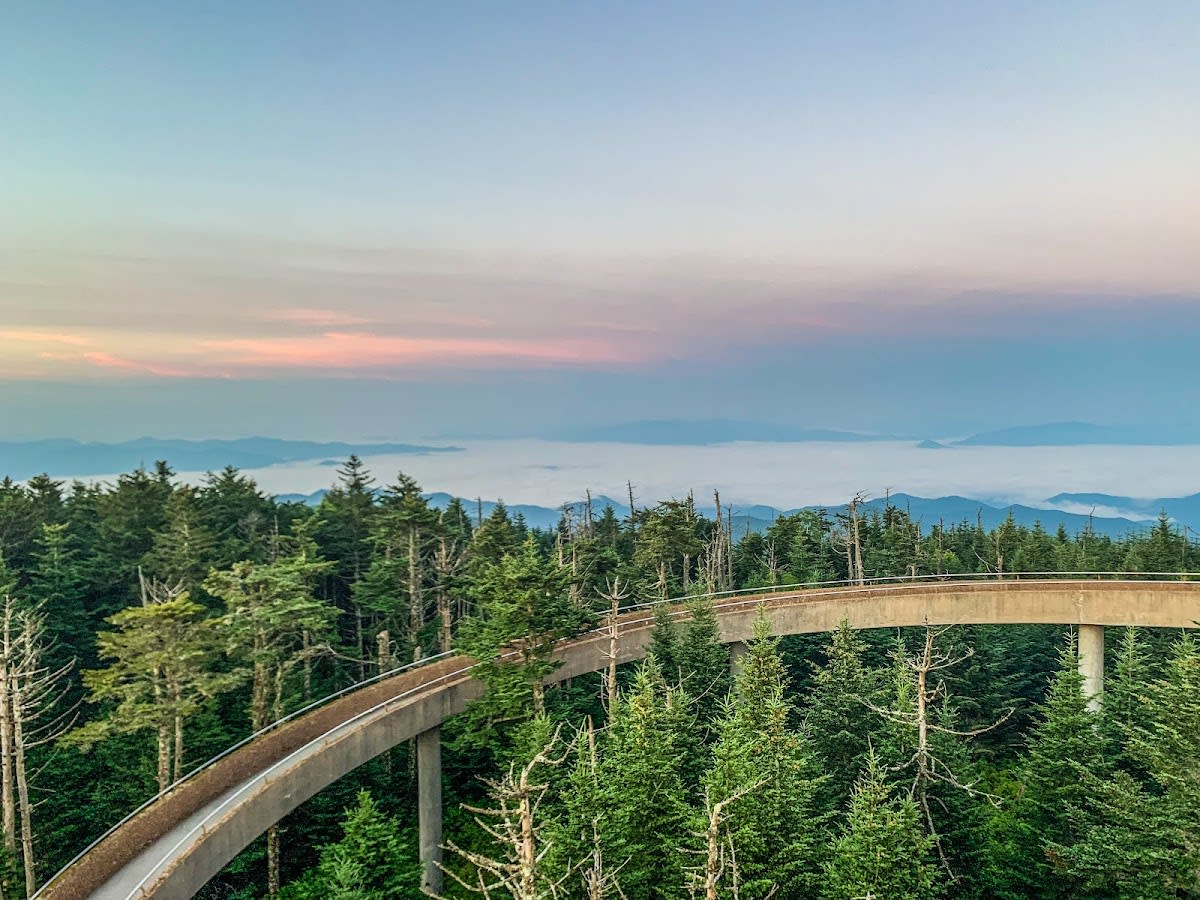 Clingmans Dome / Kuwohi