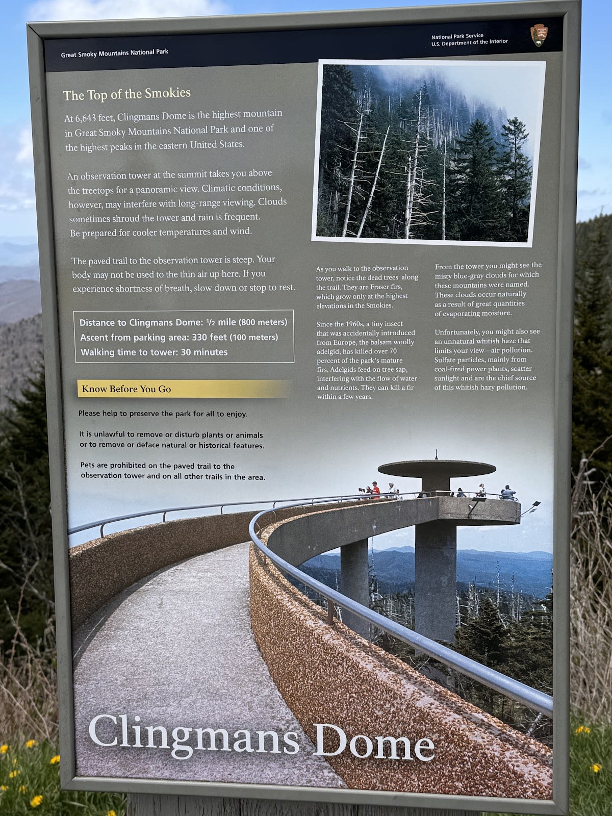 Clingmans Dome / Kuwohi