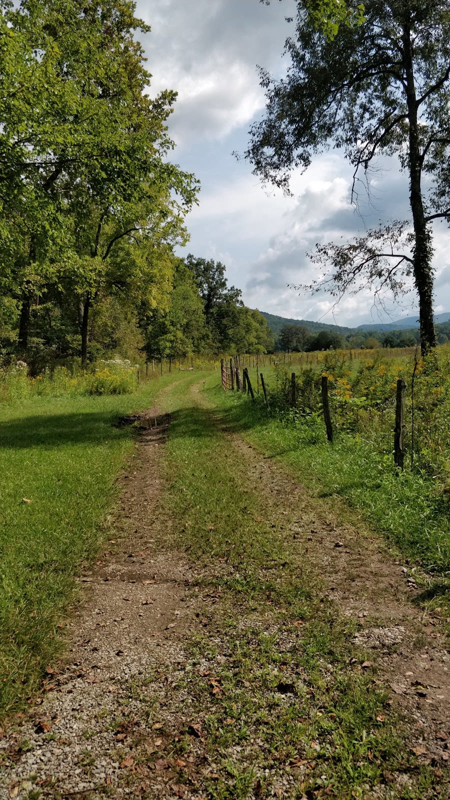 Crooked Arm Ridge Trail