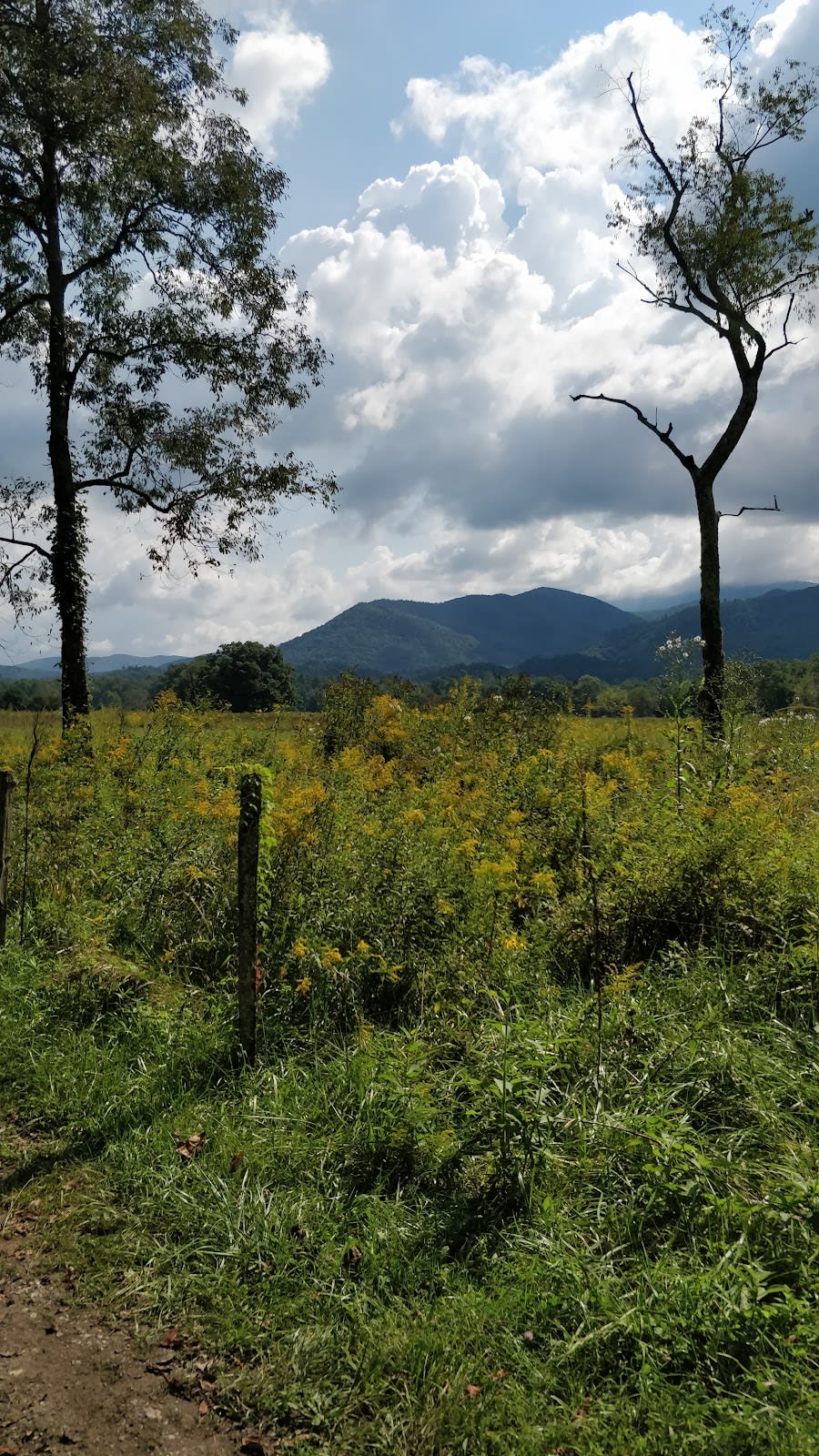 Crooked Arm Ridge Trail