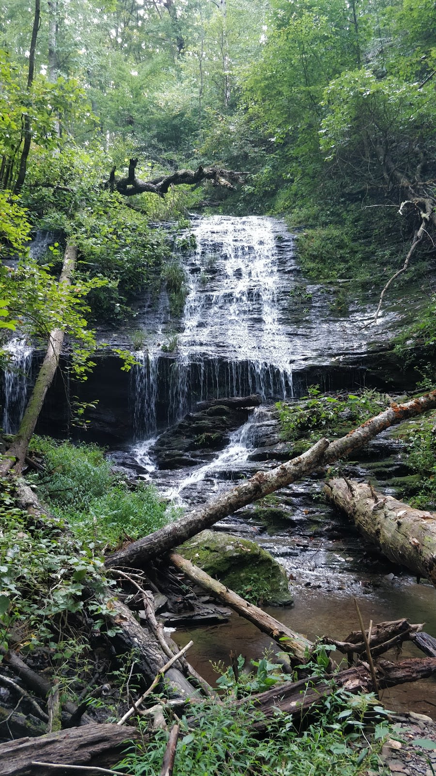 Crooked Arm Ridge Trail
