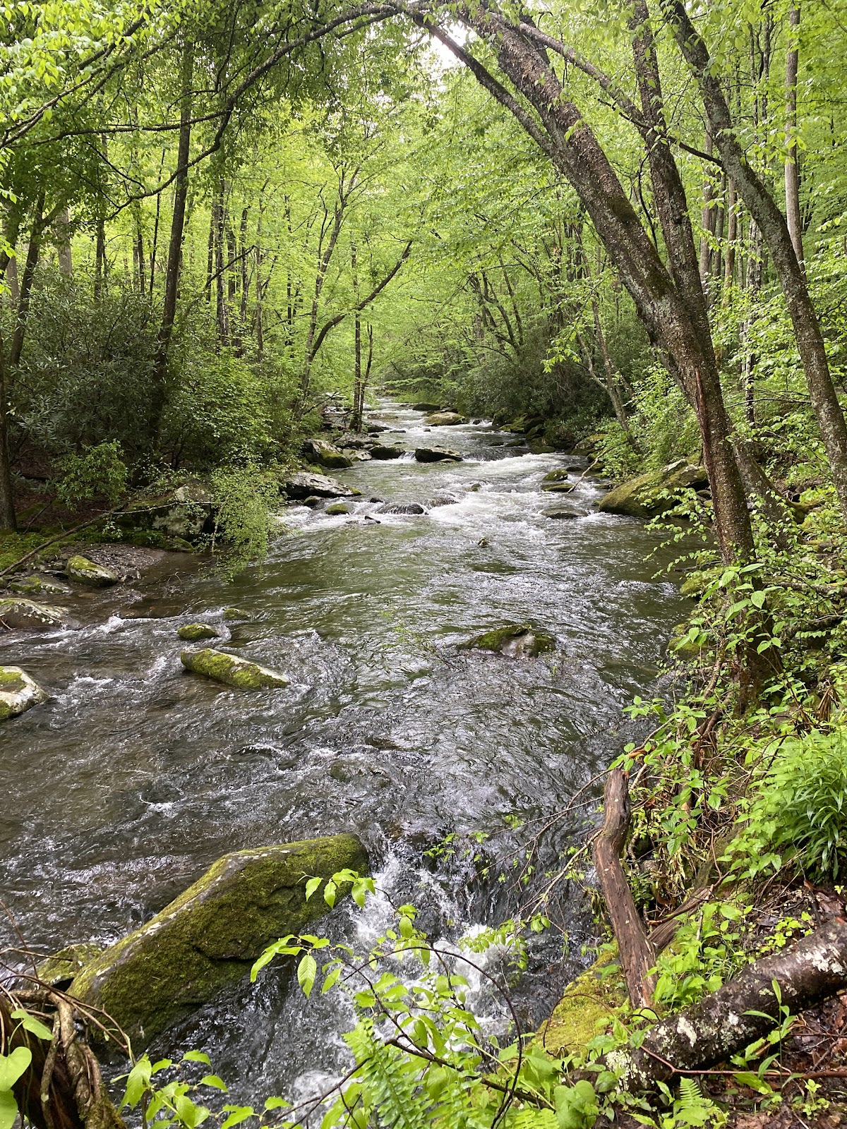 Cucumber Gap Loop Trail
