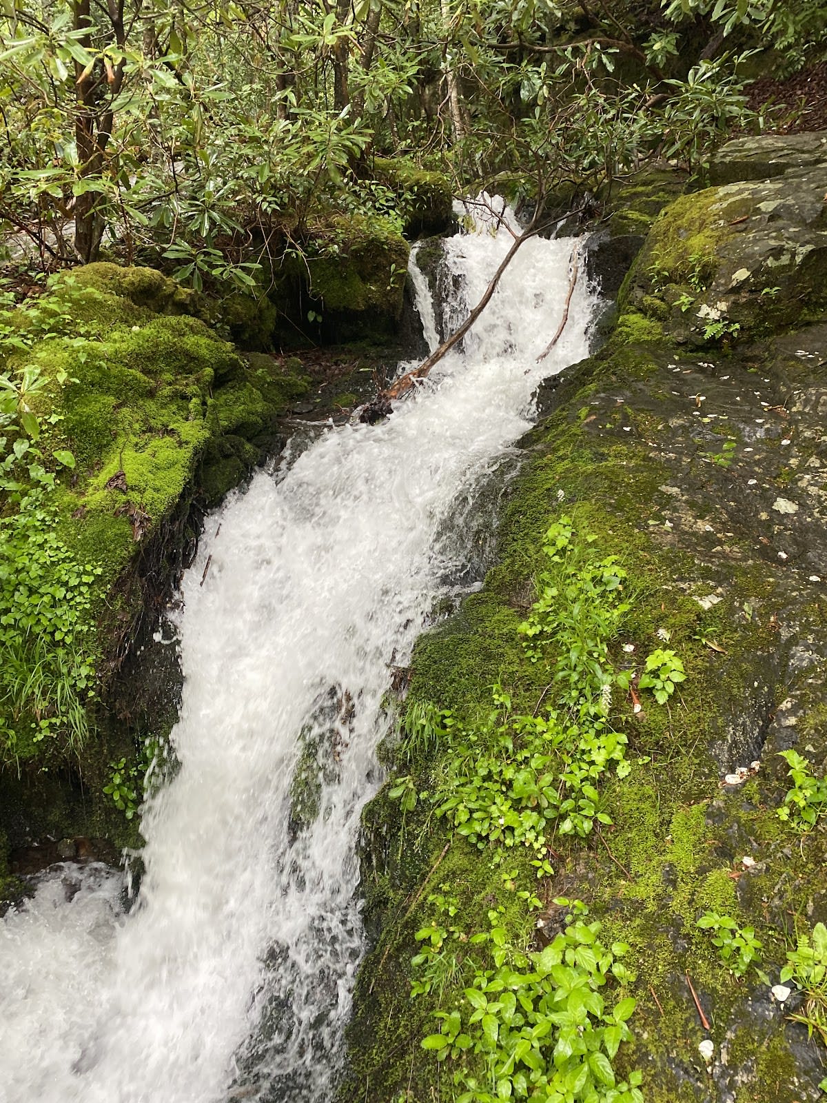 Cucumber Gap Loop Trail